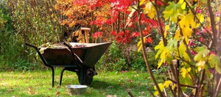 La manutenzione del giardino in ottobre