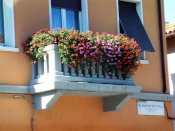 geranio-balcone Consigli per avere un bel davanzale fiorito