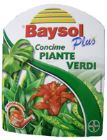 baysol Consigli per le piante ingiallite