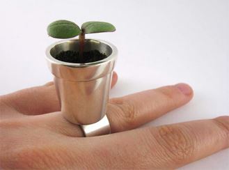 anello-a-forma-di-vaso Come procedere a pulire i vasi vuoti da piante sfiorite
