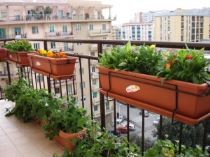 vasi_in_terrazzo-300x225 Come progettare lo spazio verde in balcone e terrazza