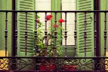 rose-sul-balcone-300x202 Consigli per avere un bel davanzale fiorito