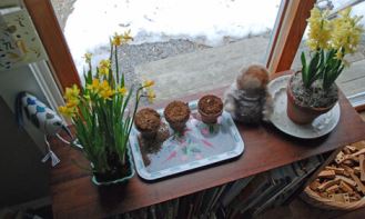 Cura delle piante in vaso nei mesi invernali