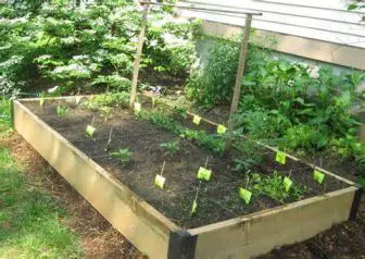 Aprile: seminiamo l’orto e curiamo il frutteto