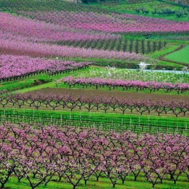 romagna in primavera
